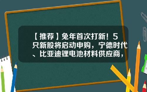 【推荐】兔年首次打新！5只新股将启动申购，宁德时代、比亚迪锂电池材料供应商，发行价近百元的芯片股在列…-专打新股基金