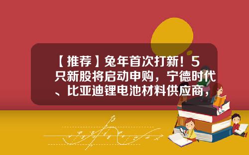 【推荐】兔年首次打新！5只新股将启动申购，宁德时代、比亚迪锂电池材料供应商，发行价近百元的芯片股在列…-基金申购新股