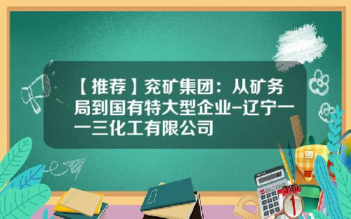 【推荐】兖矿集团:从矿务局到国有特大型企业-辽宁一一三化工有限公司