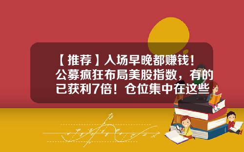 【推荐】入场早晚都赚钱！公募疯狂布局美股指数，有的已获利7倍！仓位集中在这些股-全球精选基金
