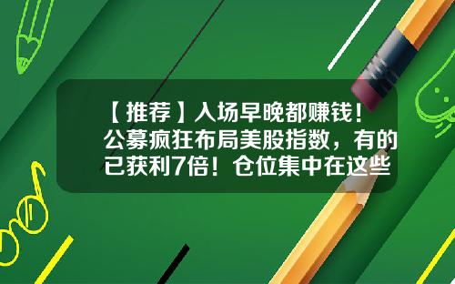 【推荐】入场早晚都赚钱!公募疯狂布局美股指数,有的已获利7倍!仓位集中在这些股-海外公募基金