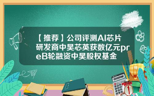 【推荐】公司评测AI芯片研发商中昊芯英获数亿元preB轮融资中昊股权基金