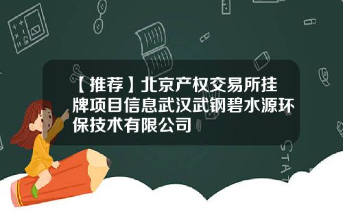 【推荐】北京产权交易所挂牌项目信息武汉武钢碧水源环保技术有限公司