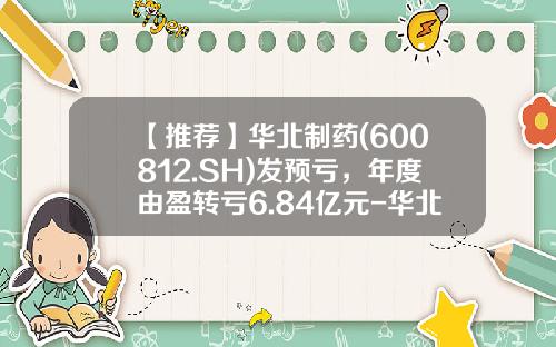 【推荐】华北制药(600812.SH)发预亏,年度由盈转亏6.84亿元-华北制药股份有限公司信贷调查报告