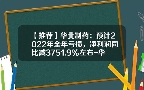 【推荐】华北制药:预计2022年全年亏损,净利润同比减3751.9%左右-华北制药产品经理工资待遇多少