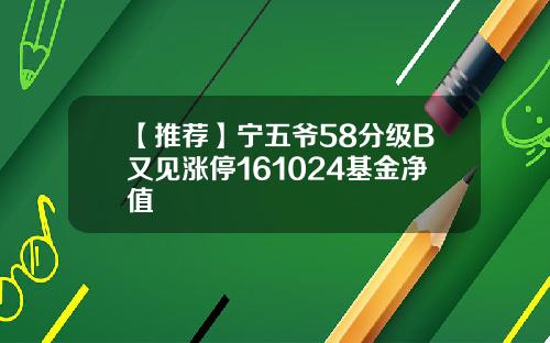 【推荐】宁五爷58分级B又见涨停161024基金净值