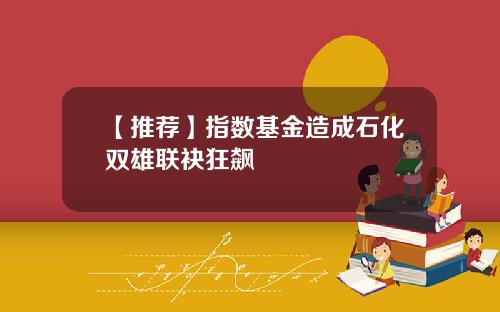 【推荐】指数基金造成石化双雄联袂狂飙