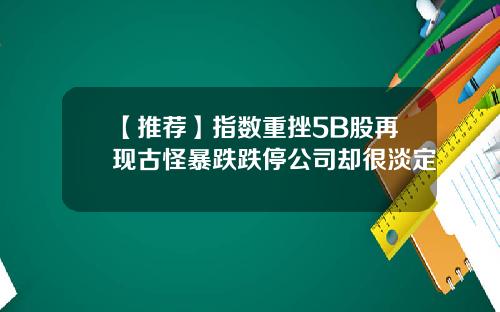 【推荐】指数重挫5B股再现古怪暴跌跌停公司却很淡定
