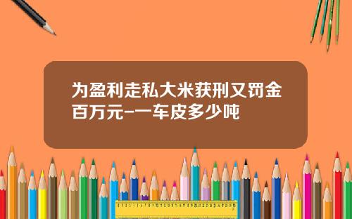 为盈利走私大米获刑又罚金百万元-一车皮多少吨