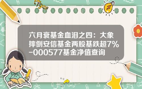 六月衰基金血泪之四:大象摔倒安信基金两股基跌超7%-000577基金净值查询