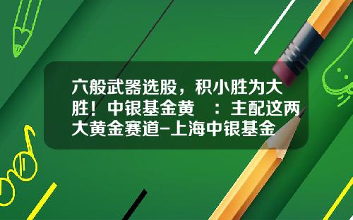 六般武器选股,积小胜为大胜!中银基金黄珺:主配这两大黄金赛道-上海中银基金