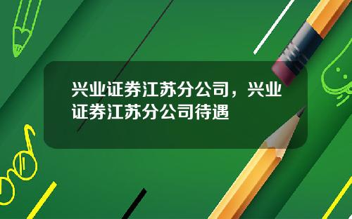 兴业证券江苏分公司,兴业证券江苏分公司待遇