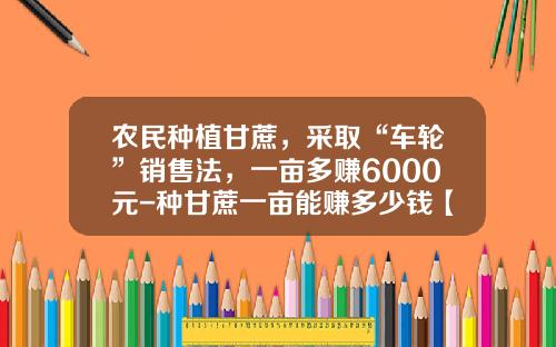 农民种植甘蔗,采取“车轮”销售法,一亩多赚6000元-种甘蔗一亩能赚多少钱【新闻】