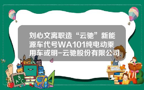 刘心文离职造“云驰”新能源车代号WA101纯电动乘用车或明-云驰股份有限公司【新闻】