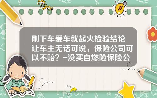 刚下车爱车就起火检验结论让车主无话可说,保险公司可以不赔?-没买自燃险保险公司赔吗【新闻】