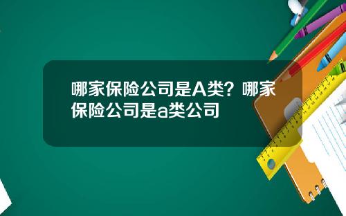哪家保险公司是A类?哪家保险公司是a类公司
