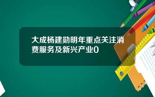 大成杨建勋明年重点关注消费服务及新兴产业0