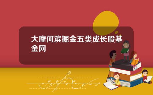 大摩何滨掘金五类成长股基金网
