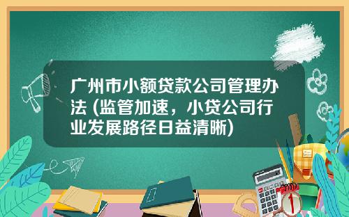 广州市小额贷款公司管理办法 (监管加速,小贷公司行业发展路径日益清晰)