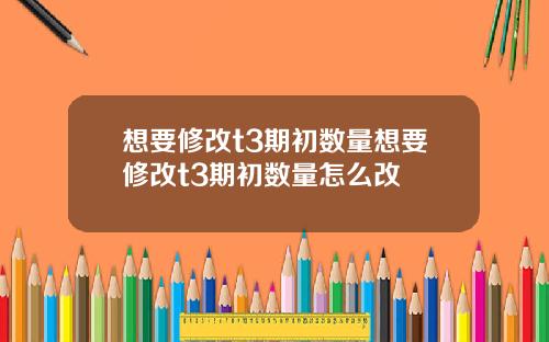 想要修改t3期初数量想要修改t3期初数量怎么改