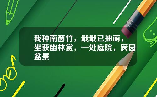 我种南窗竹,戢戢已抽萌,坐获幽林赏,一处庭院,满园盆景