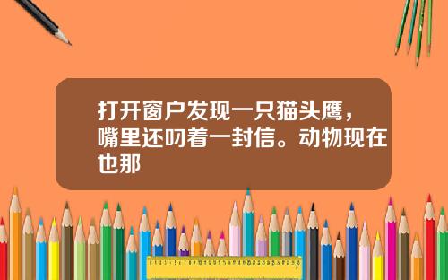 打开窗户发现一只猫头鹰,嘴里还叼着一封信。动物现在也那