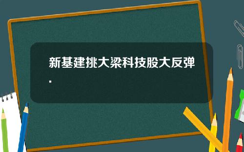 新基建挑大梁科技股大反弹.