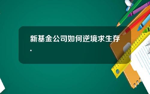 新基金公司如何逆境求生存.