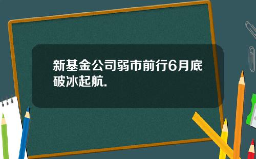 新基金公司弱市前行6月底破冰起航.
