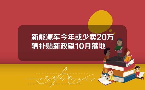 新能源车今年或少卖20万辆补贴新政望10月落地