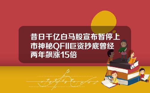 昔日千亿白马股宣布暂停上市神秘QFII巨资抄底曾经两年飙涨15倍