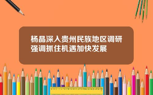 杨晶深入贵州民族地区调研强调抓住机遇加快发展