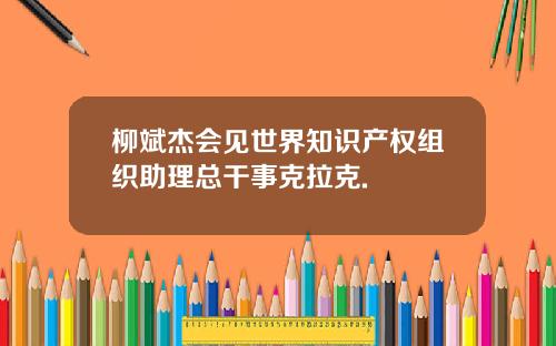 柳斌杰会见世界知识产权组织助理总干事克拉克.