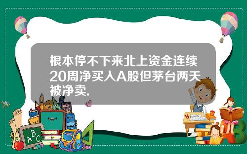 根本停不下来北上资金连续20周净买入A股但茅台两天被净卖.