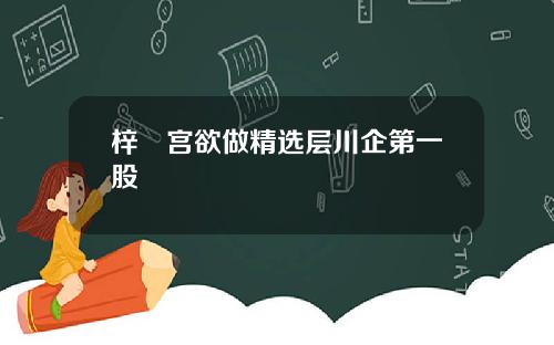 梓橦宫欲做精选层川企第一股