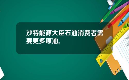 沙特能源大臣石油消费者需要更多原油.