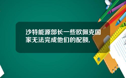 沙特能源部长一些欧佩克国家无法完成他们的配额.