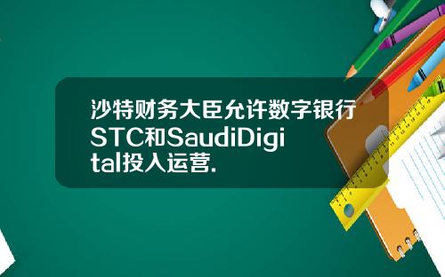 沙特财务大臣允许数字银行STC和SaudiDigital投入运营.