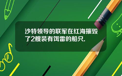 沙特领导的联军在红海摧毁了2艘装有饵雷的船只.