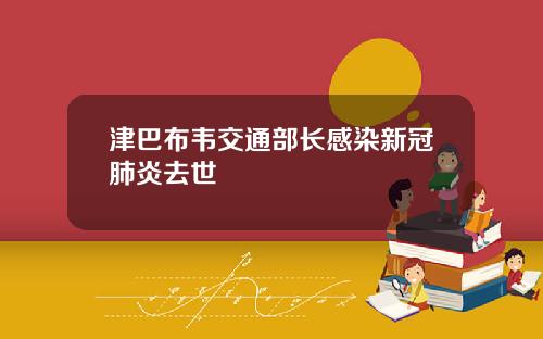 津巴布韦交通部长感染新冠肺炎去世
