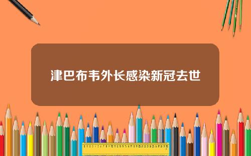 津巴布韦外长感染新冠去世