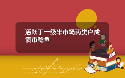 活跃于一级半市场丙类户成债市鲶鱼