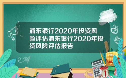 浦东银行2020年投资风险评估浦东银行2020年投资风险评估报告