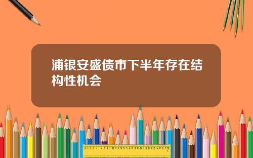 浦银安盛债市下半年存在结构性机会