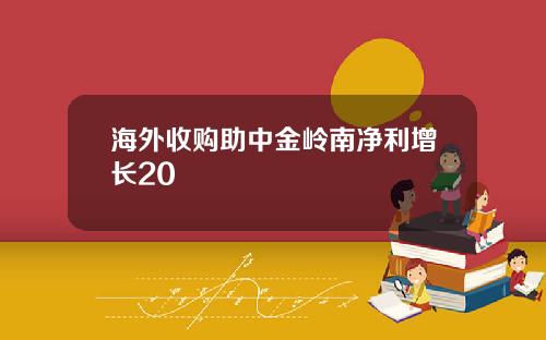 海外收购助中金岭南净利增长20