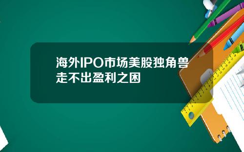 海外IPO市场美股独角兽走不出盈利之困