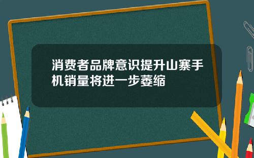 消费者品牌意识提升山寨手机销量将进一步萎缩