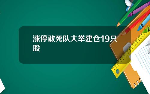 涨停敢死队大举建仓19只股