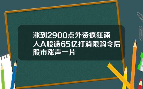 涨到2900点外资疯狂涌入A股逾65亿打消限购令后股市涨声一片