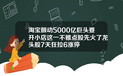 淘宝颤动5000亿巨头要开小店这一不雅点股先火了龙头股7天狂拉6涨停